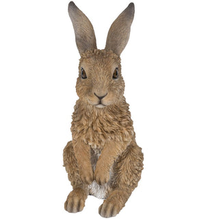 Vivid Arts Real Life Young Standing Hare