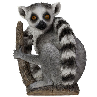 Vivid Arts Ringtailed Lemur
