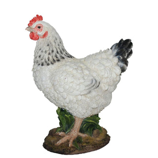 Vivid Arts Black & White Summer Hen