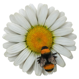 Vivid Arts Hanging White Daisy/Bee