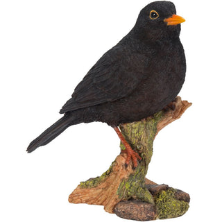 Vivid Arts Blackbird