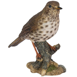 Vivid Arts Song Thrush