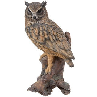 Vivid Arts Real Life Long Eared Owl