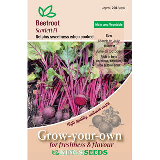 King Seeds Beetroot Scarlet F1