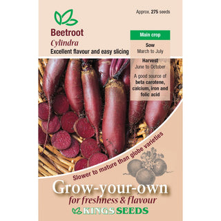 Kings Seeds Beetroot Cylindra