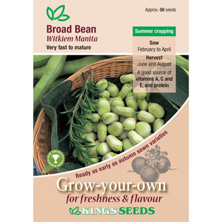 Kings Seeds Broad Bean Witkiem Manita