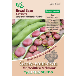 Kings Seeds Broad Bean Karmazyn