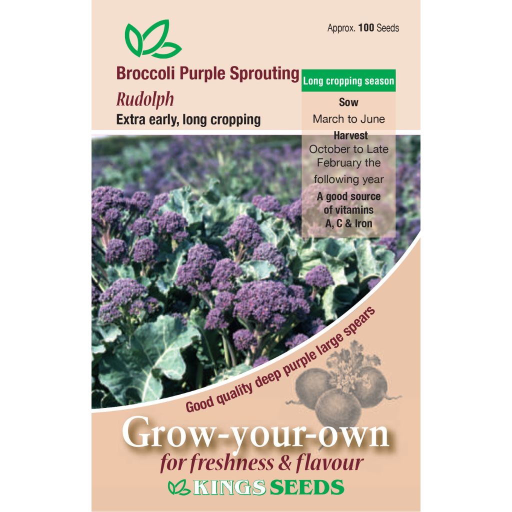 Kings Seeds Broccoli Purple Sprouting Rudolph - Default Title | Zoars ...