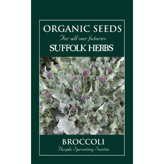 Suffolk Herbs Organic Broccoli Purple Sprouting Santee