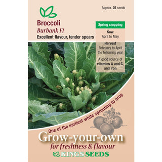 Kings Seeds Broccoli Sprouting Burbank F1