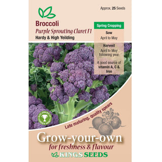 Kings Seeds Broccoli Purple Sprouting Claret F1