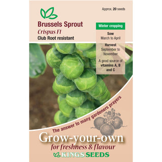 Kings Seeds Brussels Sprout Crispus F1