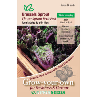Kings Seeds Brussels Sprout Flower Sprout Petit Posi