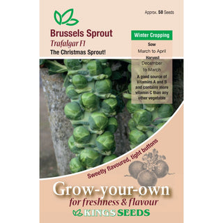 Kings Seeds Brussels Sprout Trafalgar F1