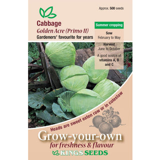 Kings Seeds Cabbage Golden Acre Primo 2