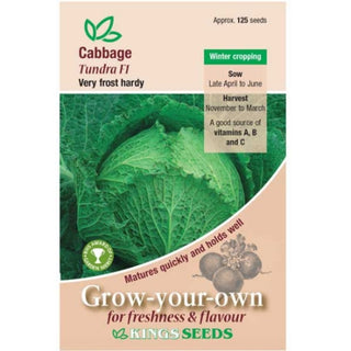 Kings Seeds Cabbage Tundra F1 Rhs Agm
