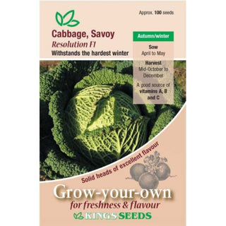 Kings Seeds Cabbage Savoy Resolution F1