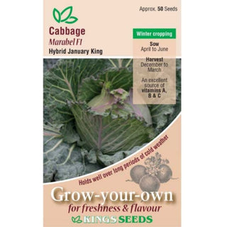 Kings Seeds Cabbage January King Marabel F1