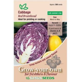 Kings Seeds Cabbage Red Drumhead
