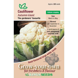 Kings Seeds Cauliflower Autumn Giant