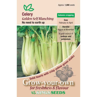 Kings Seeds Celery Golden Self Blanching