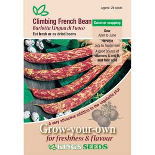 Kings Seeds Climbing French Bean Barlotta Di Fuoco