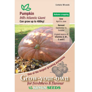 Kings Seeds Pumpkin Dills Atlantic Giant
