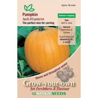 Kings Seeds Pumpkin Jack O Lantern