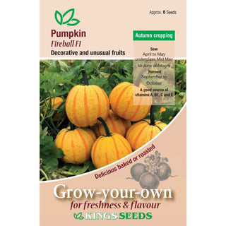 Kings Seeds Pumpkin Fireball F1
