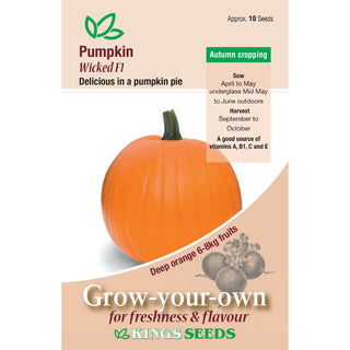 Kings Seeds Pumpkin Wicked F1