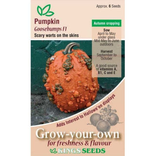 Kings Seeds Pumpkin Goosebumps F1