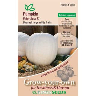 Kings Seeds Pumpkin Polar Bear F1