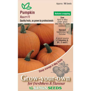 Kings Seeds Pumpkin Racer F1