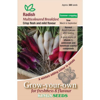 Kings Seeds Radish Multicoloured Breakfast Mixed