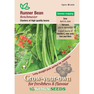 Kings Seeds Runner Bean Benchmaster