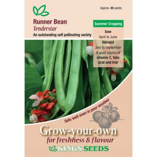 Kings Seeds Runner Bean Tenderstar