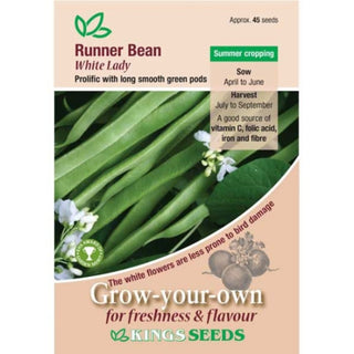 King's Seeds Runner Bean White Lady