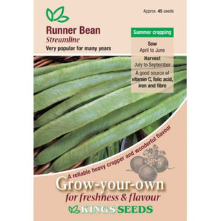 Kings Seeds Runner Bean Streamline