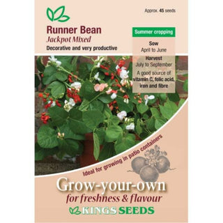 Kings Seeds Runner Bean Jackpot Mixed