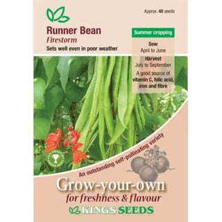 Kings Seeds Runner Bean Firestorm