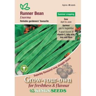 Kings Seeds Runner Bean Enorma