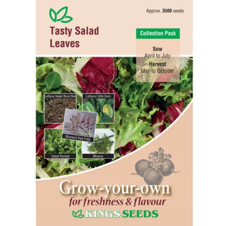 Kings Seeds Tasty Salad Leaves