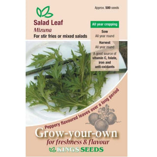 Kings Seeds Salad Leaf Mizuna