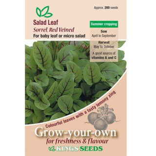 Kings Seeds Salad Leaf Sorrel Red Veined