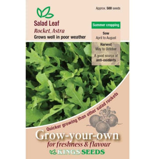 Kings Seeds Salad Leaf Rocket Astra