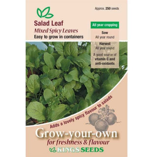 Kings Seeds Salad Leaf Mixed Spicy Leaf