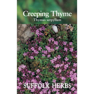 Suffolk Herbs Thyme Creeping