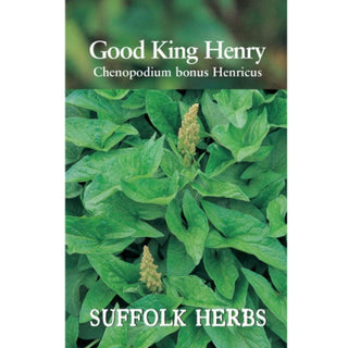 Suffolk Herbs Good King Henry