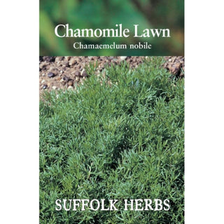 Suffolk Herbs Chamomile Lawn