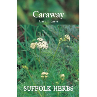Suffolk Herbs Caraway